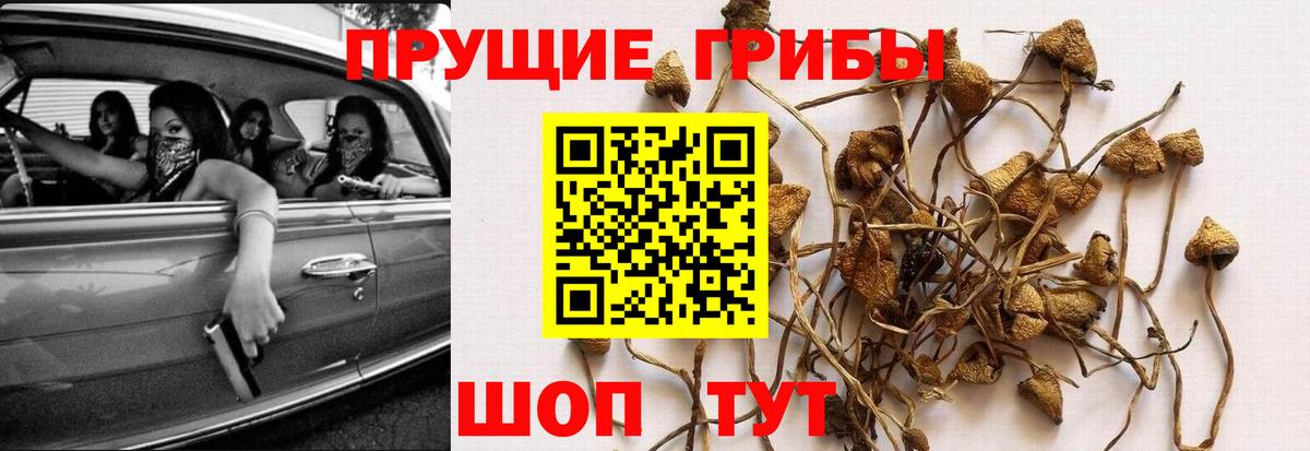 Псилоцибиновые грибы Magic Shrooms Аша
