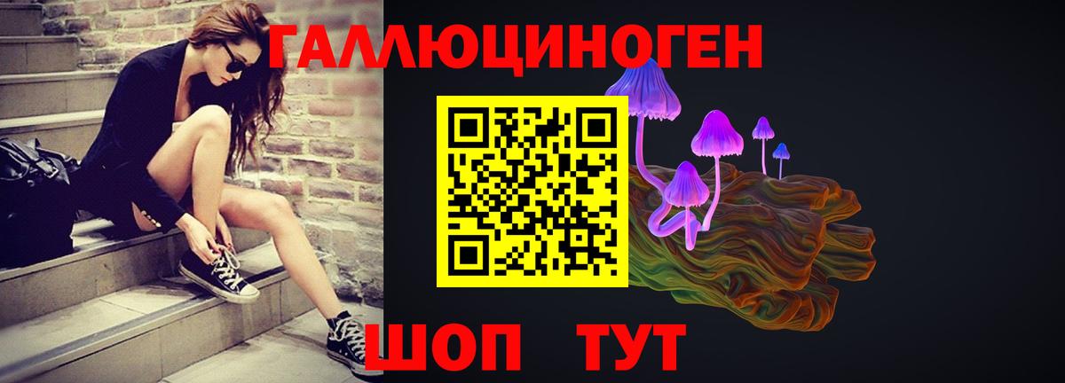 сколько стоит  Псилоцибиновые грибы мухоморы  Вход с VPN  Аша 